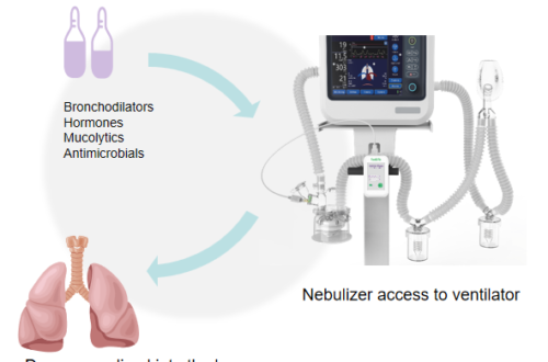 Nebulization therapy for mechanically ventilated patients