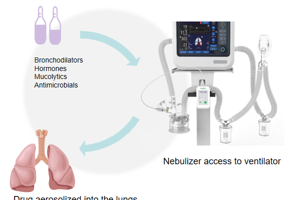 Nebulization therapy for mechanically ventilated patients